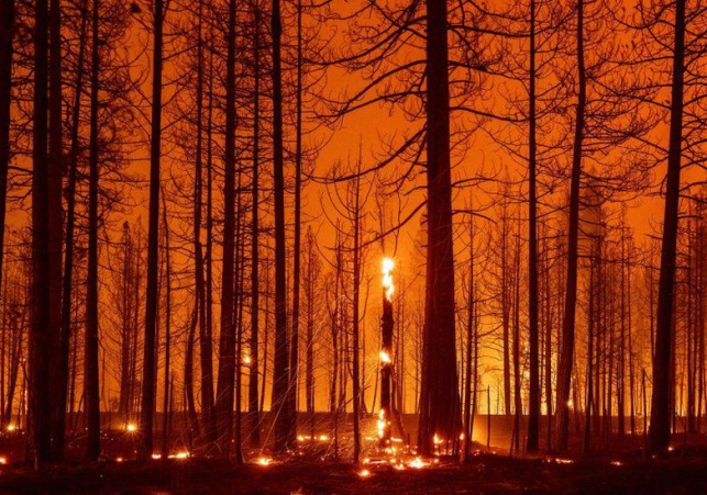 Climate change: New report will highlight stark reality of warming