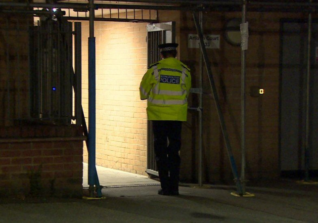 Wood Green stabbing: Man and police officers attacked in north London